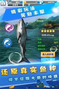 阿超爱钓鱼最新爆料,揭秘钓鱼界最新动态与秘籍